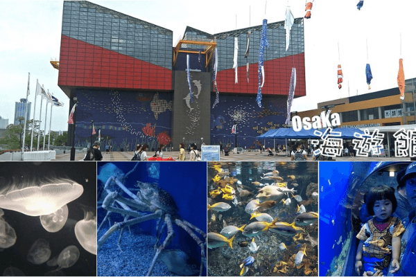 Hình minh họa: 10 trải nghiệm bạn nên thử ở Osaka