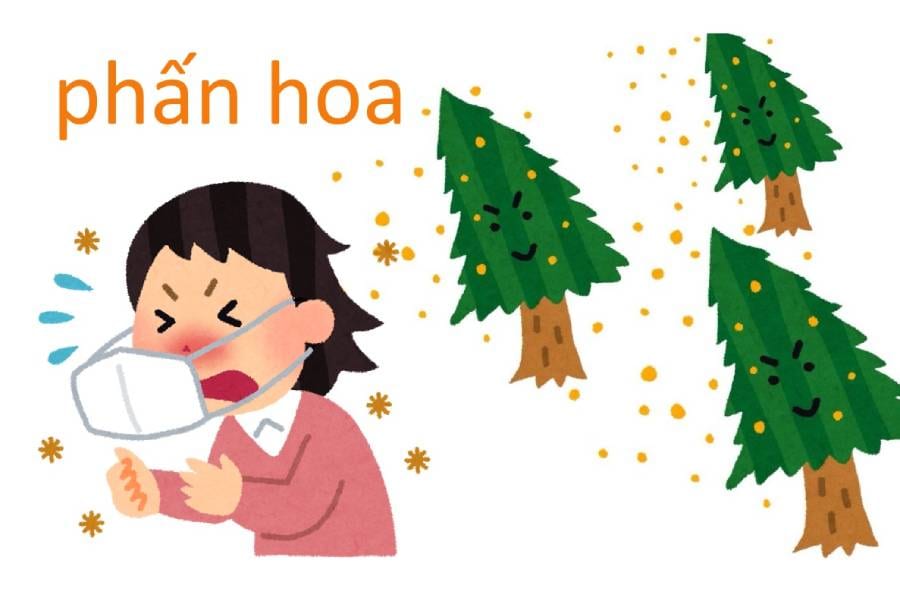Hình minh họa: Các loại thuốc trị dị ứng phấn hoa tốt nhất ở Nhật 2021