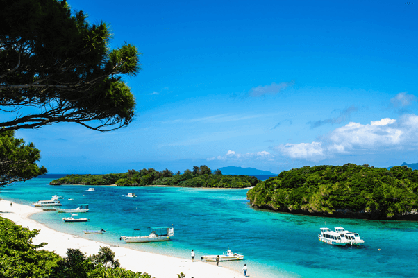 Hình minh họa: Kinh nghiệm đi du lịch ở Okinawa 2025