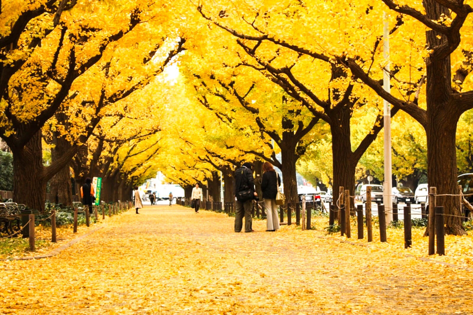 Hình minh họa: 10 trải nghiệm bạn nên thử ở Tokyo