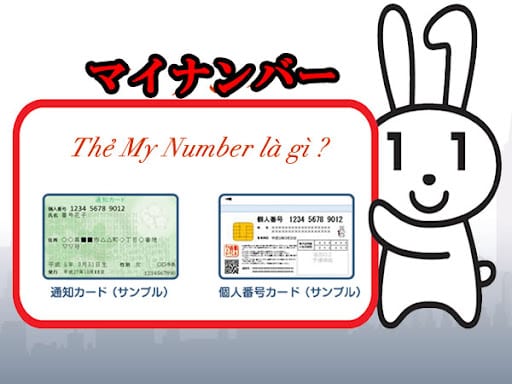 Hình minh họa: Cách làm thẻ My Number online ở Nhật Bản